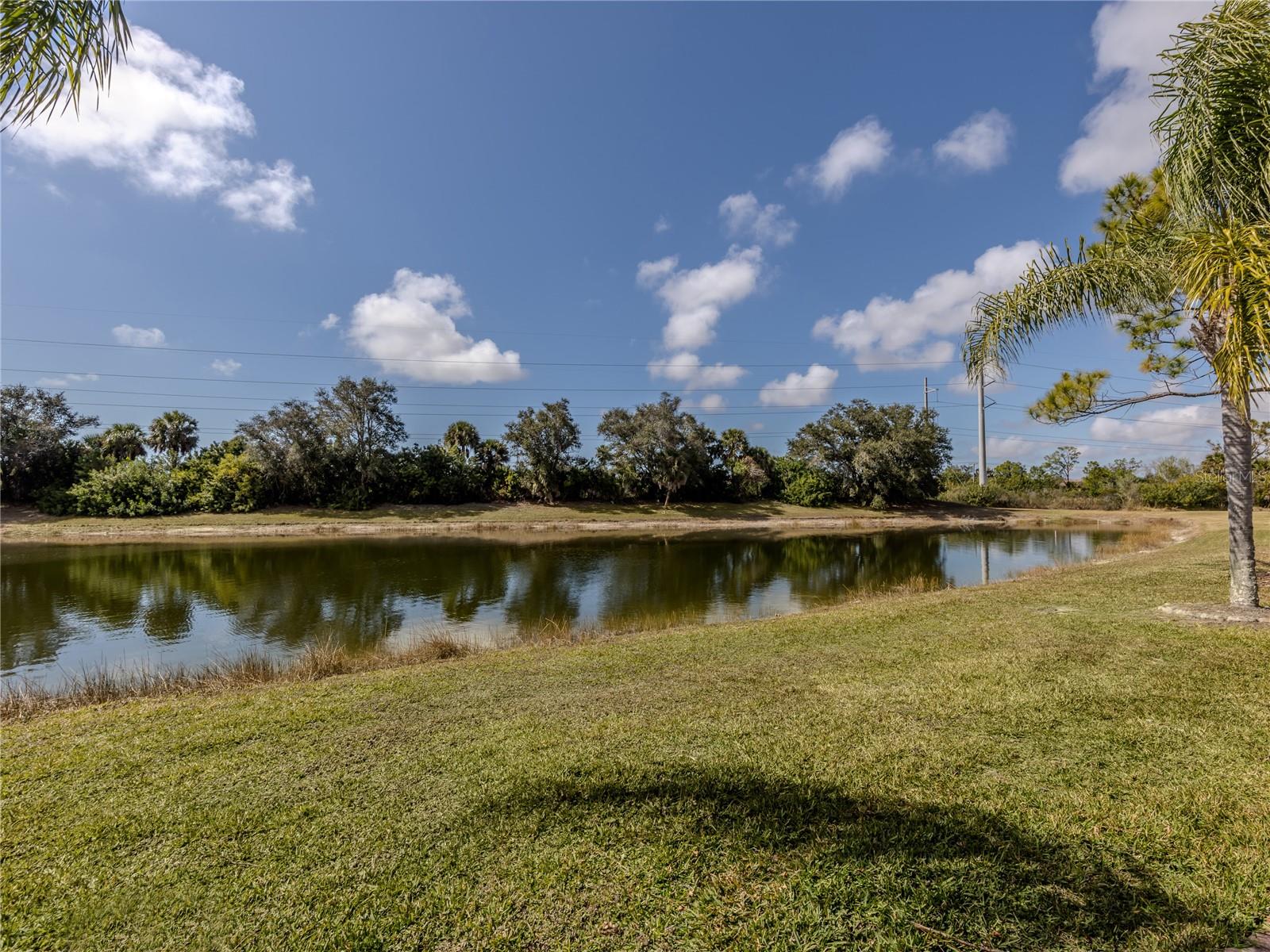 11500 Dancing River Dr Property Photo 5
