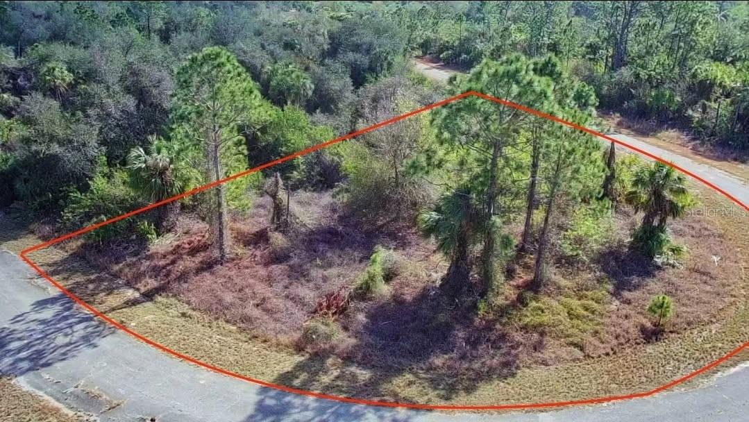 1148204901 Ashboro Cir Property Photo 3
