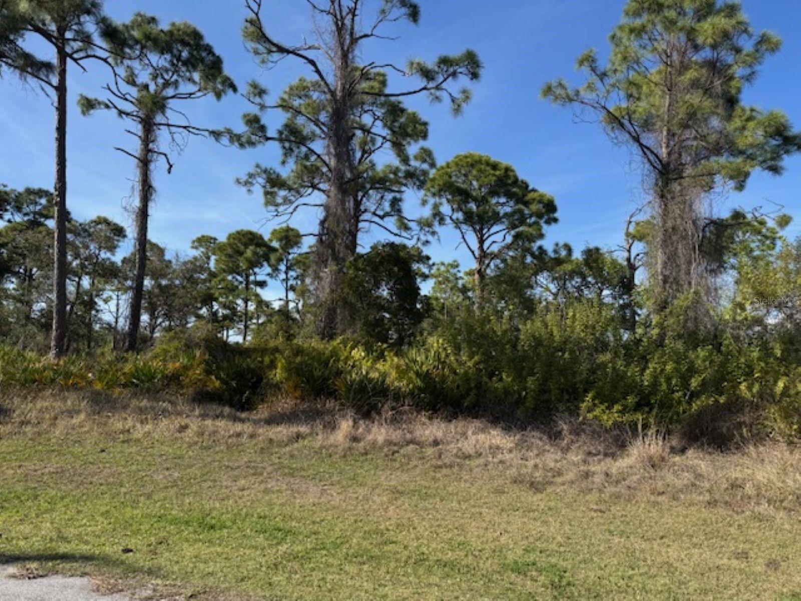 102 Beryl Dr Property Photo 2