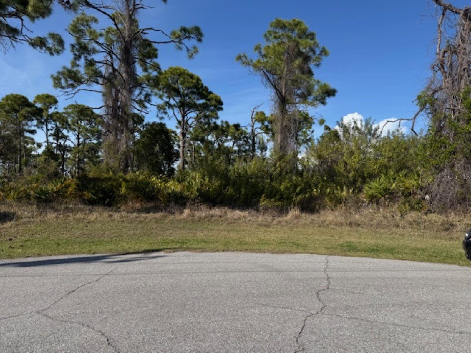 102 Beryl Dr Property Photo 3