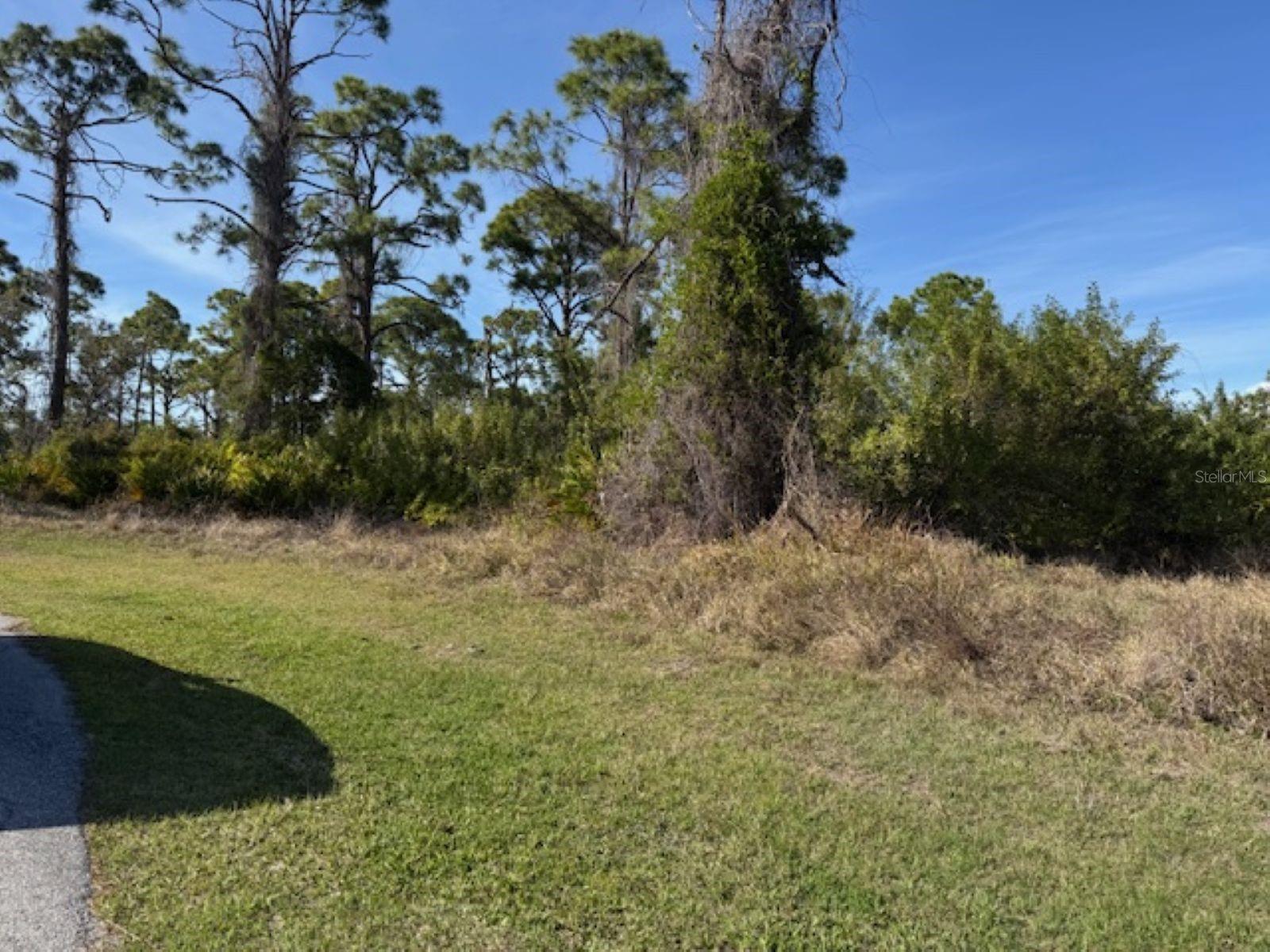 102 Beryl Dr Property Photo 4