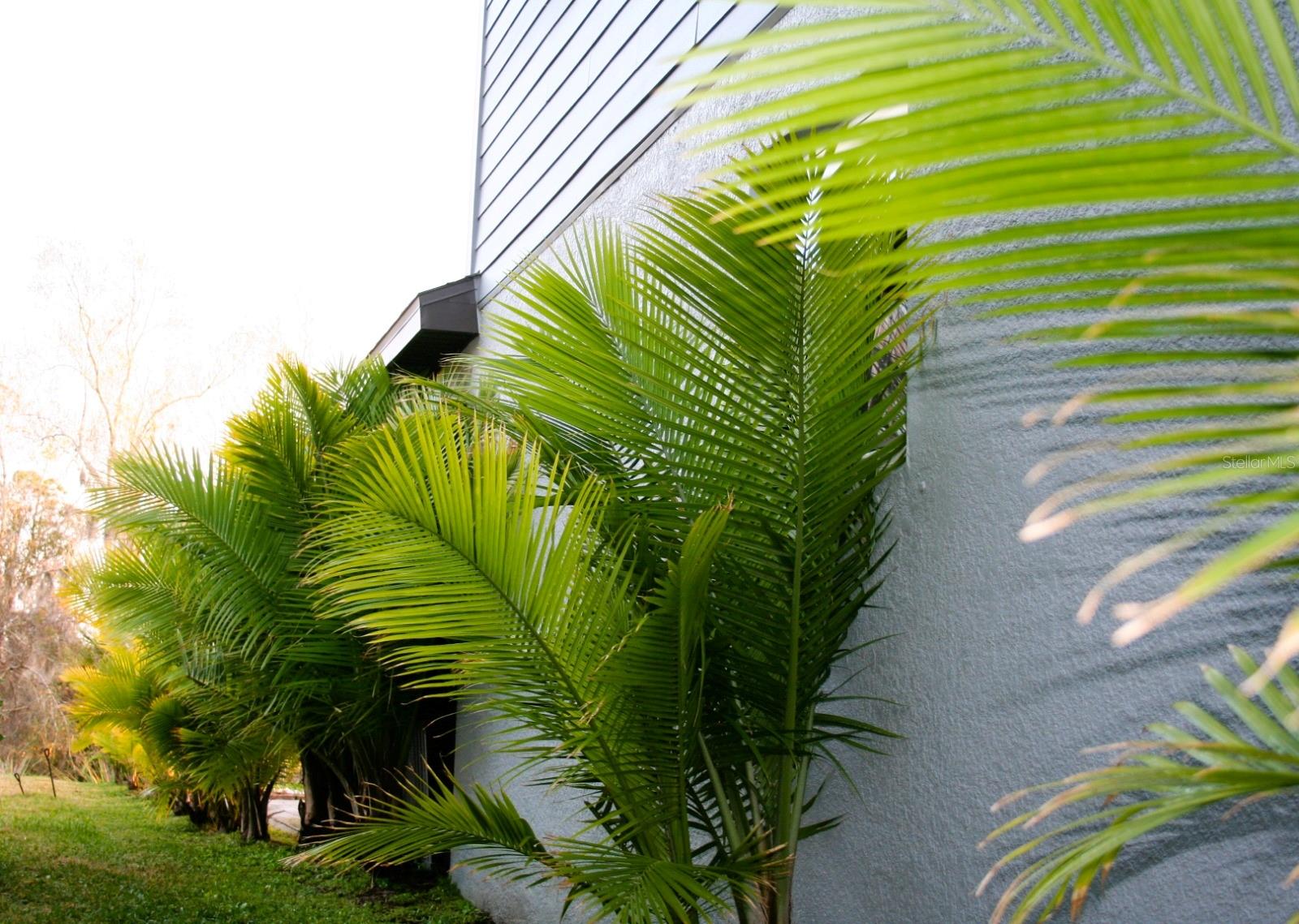 8323 Reefbay Cove Property Photo 15