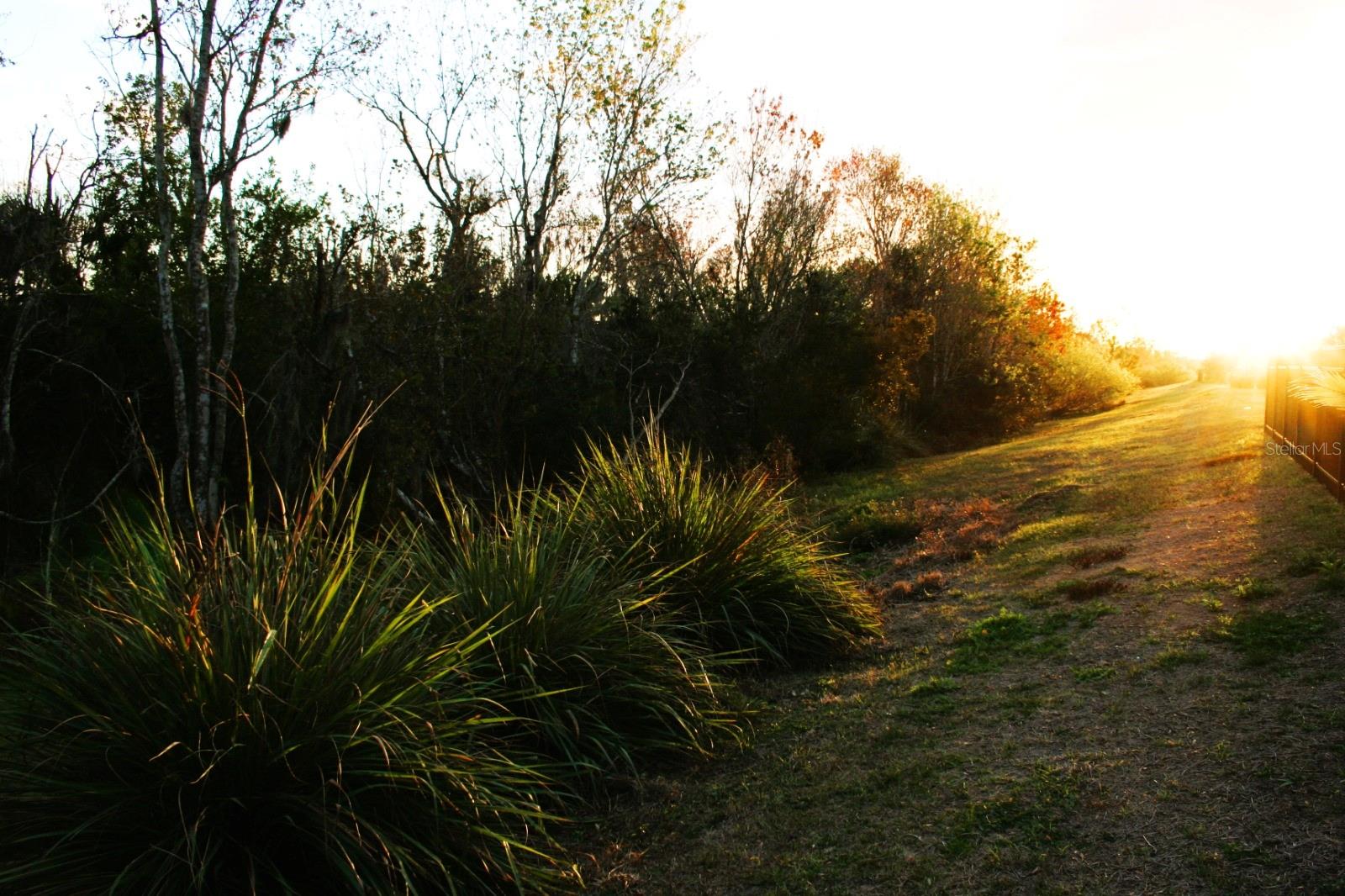 8323 Reefbay Cove Property Photo 19