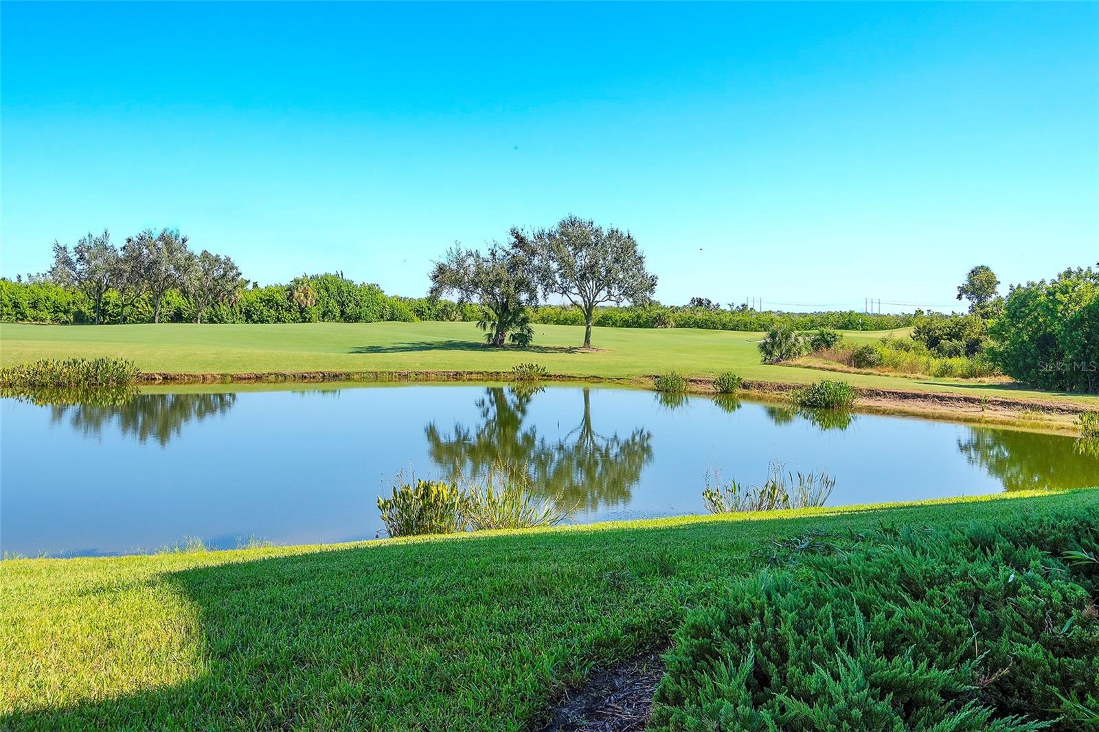 7121 River Hammock Dr #303 Property Photo 18