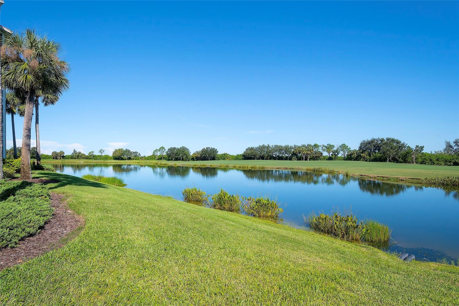 7121 River Hammock Dr #303 Property Photo 19