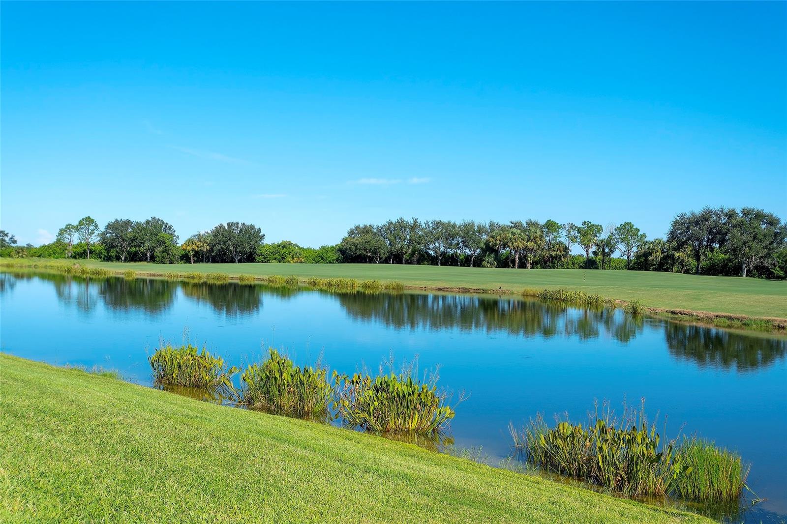 7121 River Hammock Dr #303 Property Photo 20