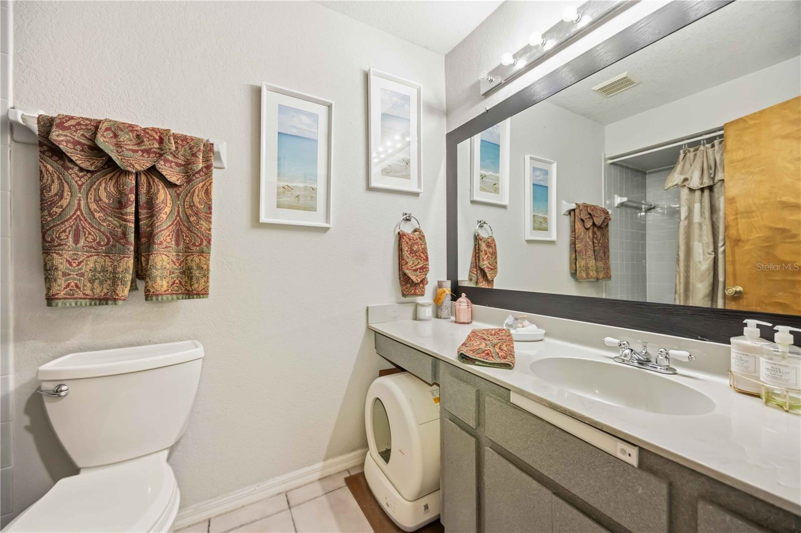 28474 Coco Palm Dr Property Photo 20