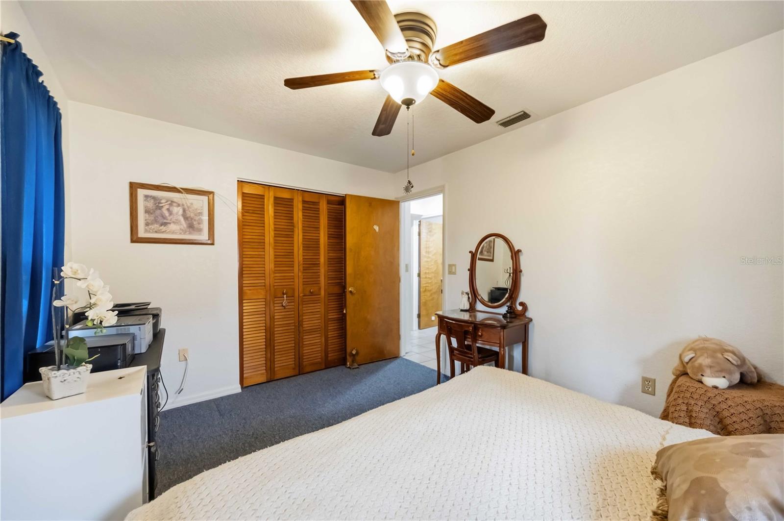 28474 Coco Palm Dr Property Photo 25