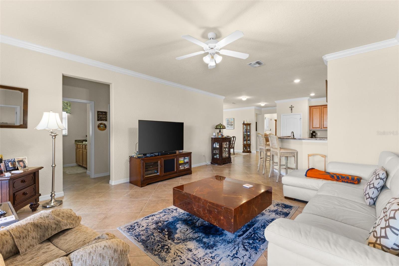 13238 Famiglia Dr Property Photo 9