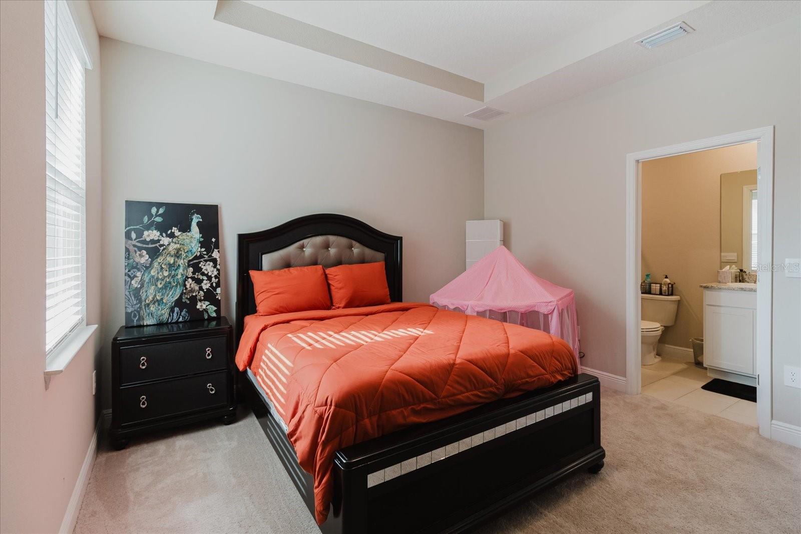 17544 Cantarina Cv Property Photo 62
