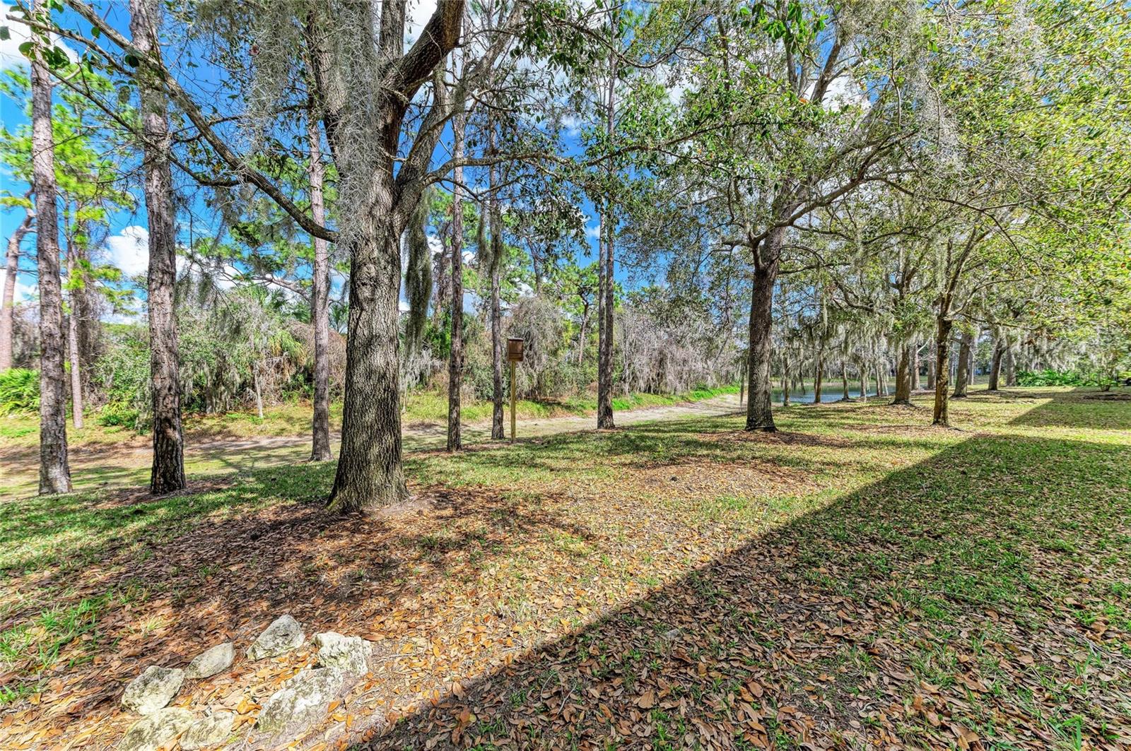 8160 Villa Grande Ct Property Photo 39