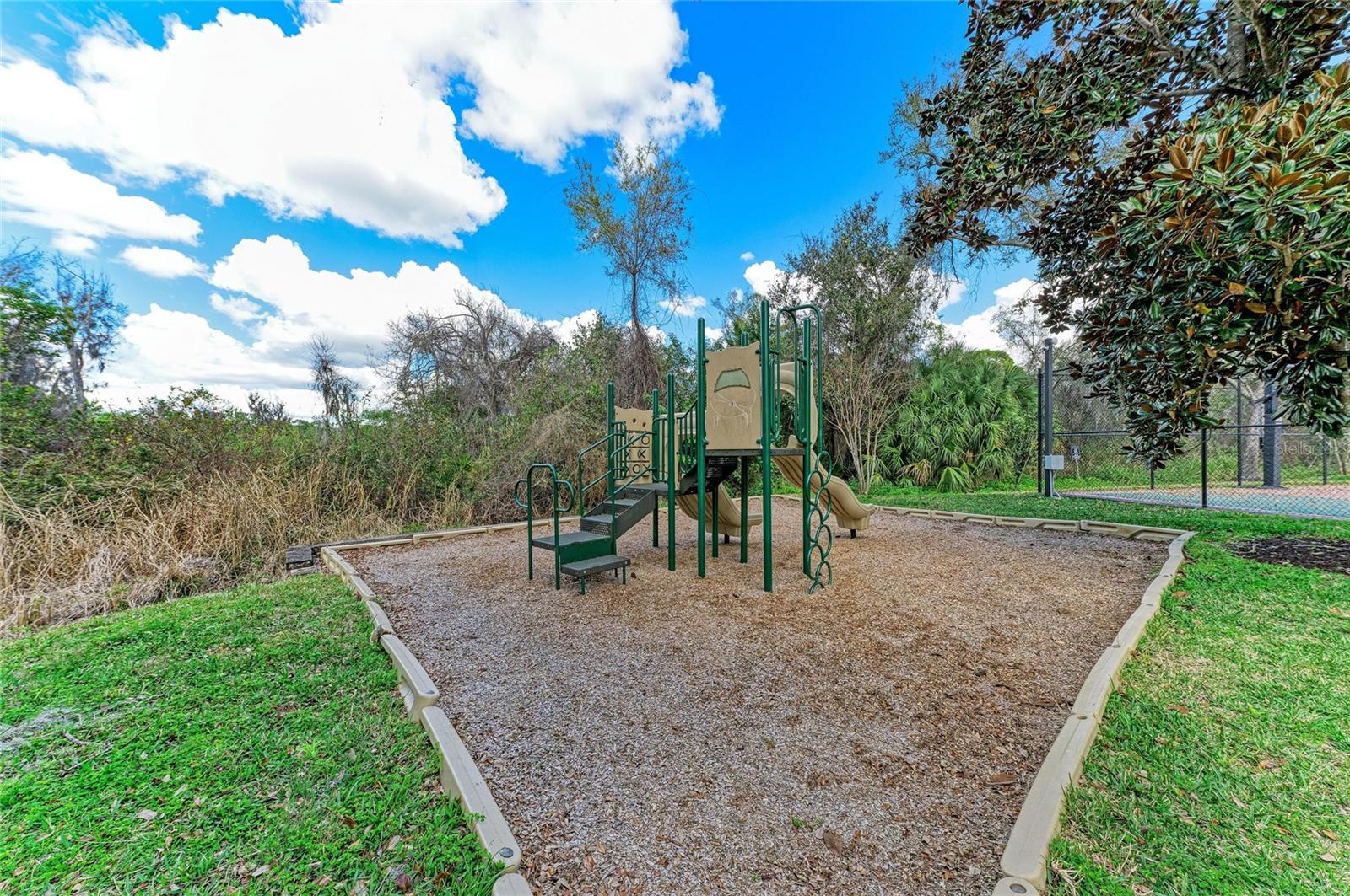 8160 Villa Grande Ct Property Photo 43