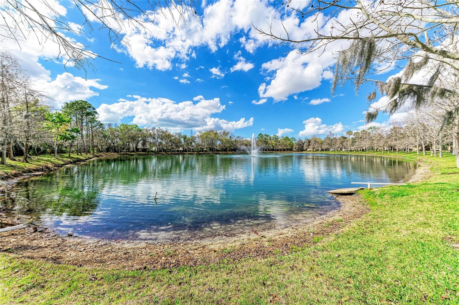 8160 Villa Grande Ct Property Photo 47