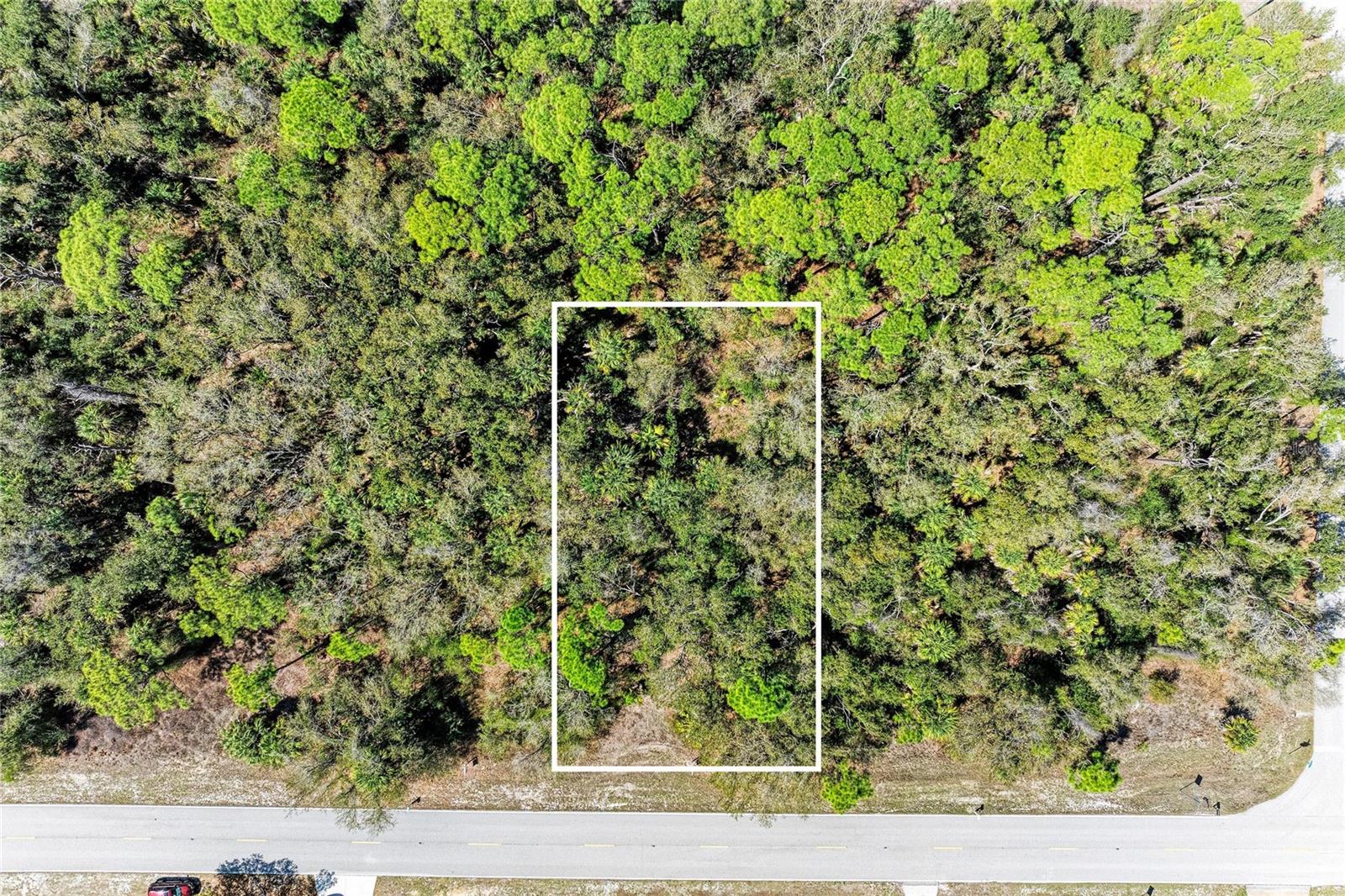 3059 Como St Property Photo 11