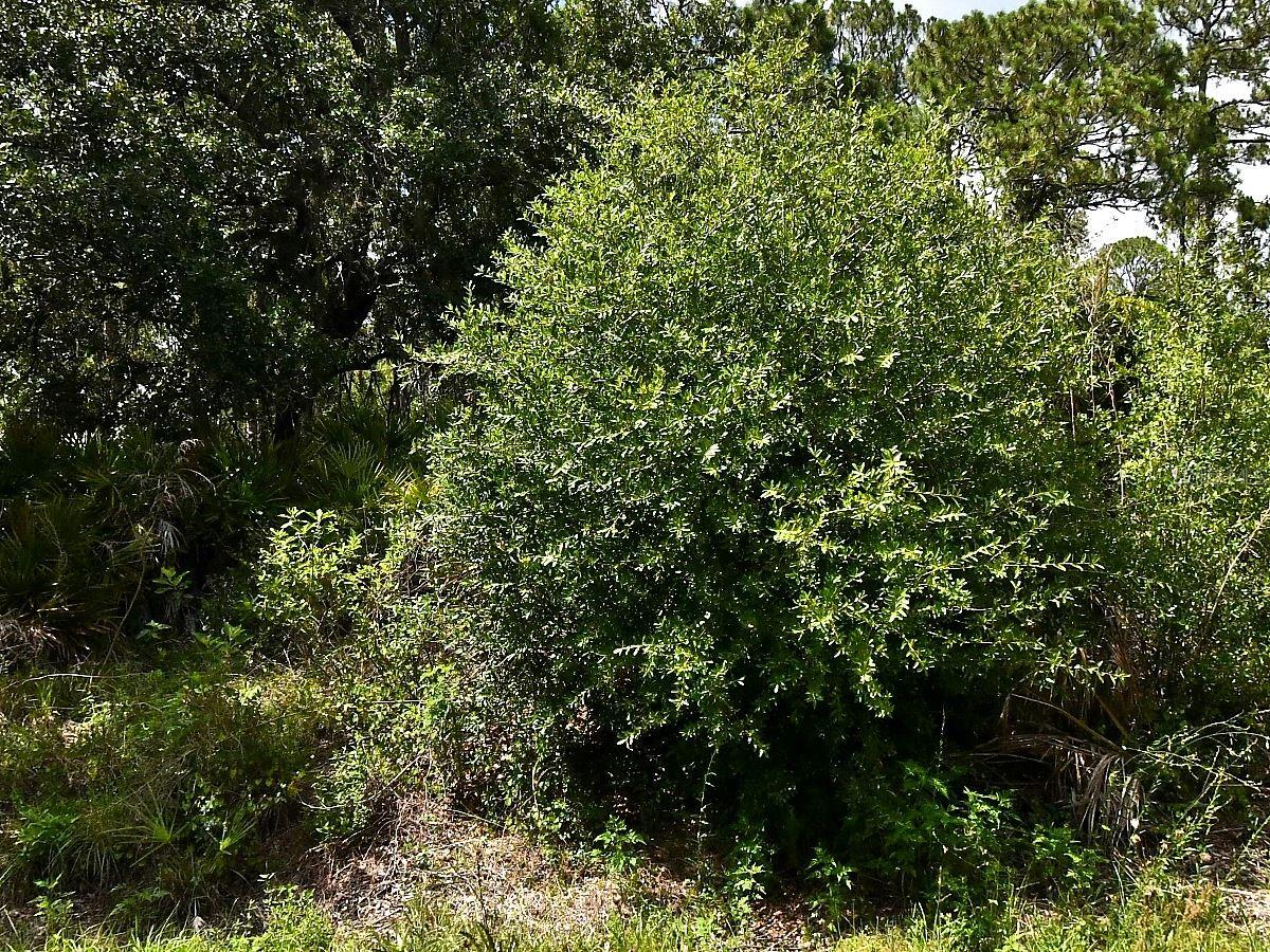 Lot 16 Rentscher Ave Property Photo 1