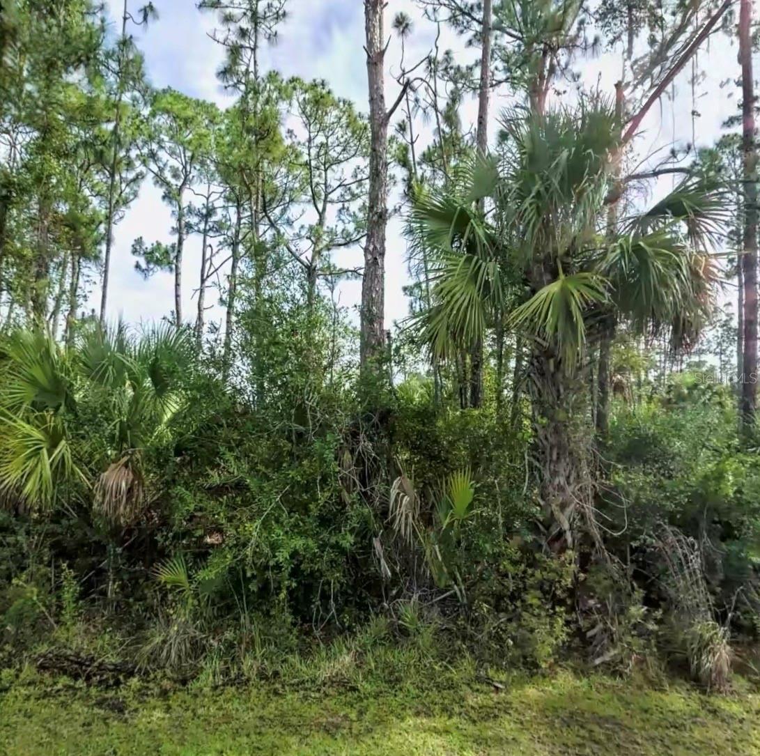 Lot 17 Donatello Ave Property Photo 5