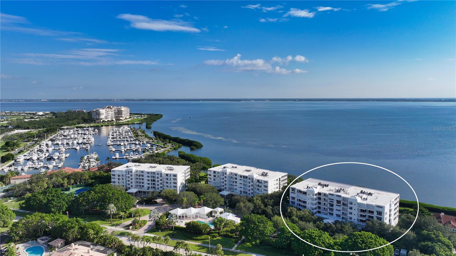 2410 Harbourside Dr #142 Property Photo 2