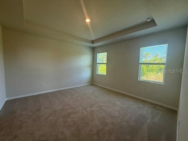 4321 Silver Birch Ct Property Photo 4
