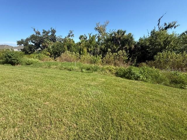 4321 Silver Birch Ct Property Photo 10