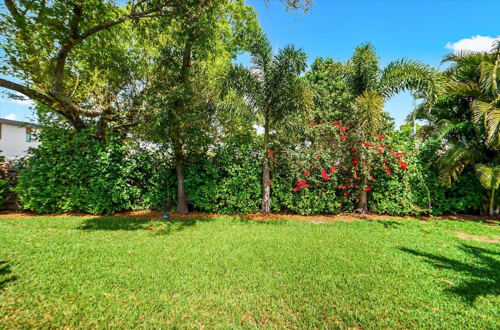 2135 Datura St Property Photo 59
