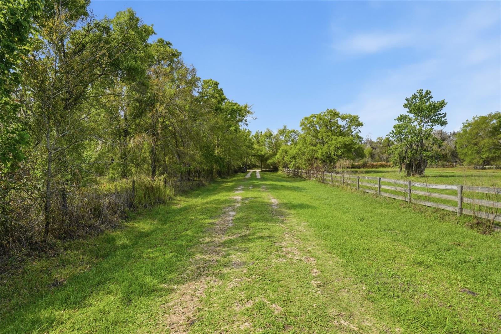 32400 Taylor Grade Rd Property Photo 4