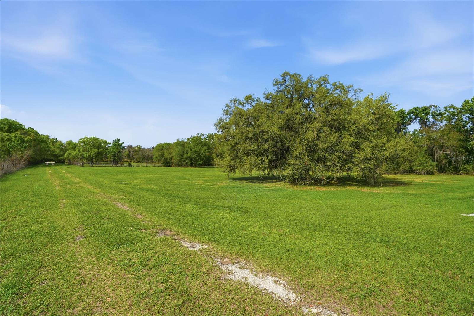 32400 Taylor Grade Rd Property Photo 5