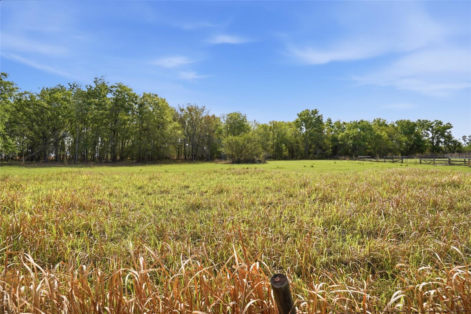 32400 Taylor Grade Rd Property Photo 6