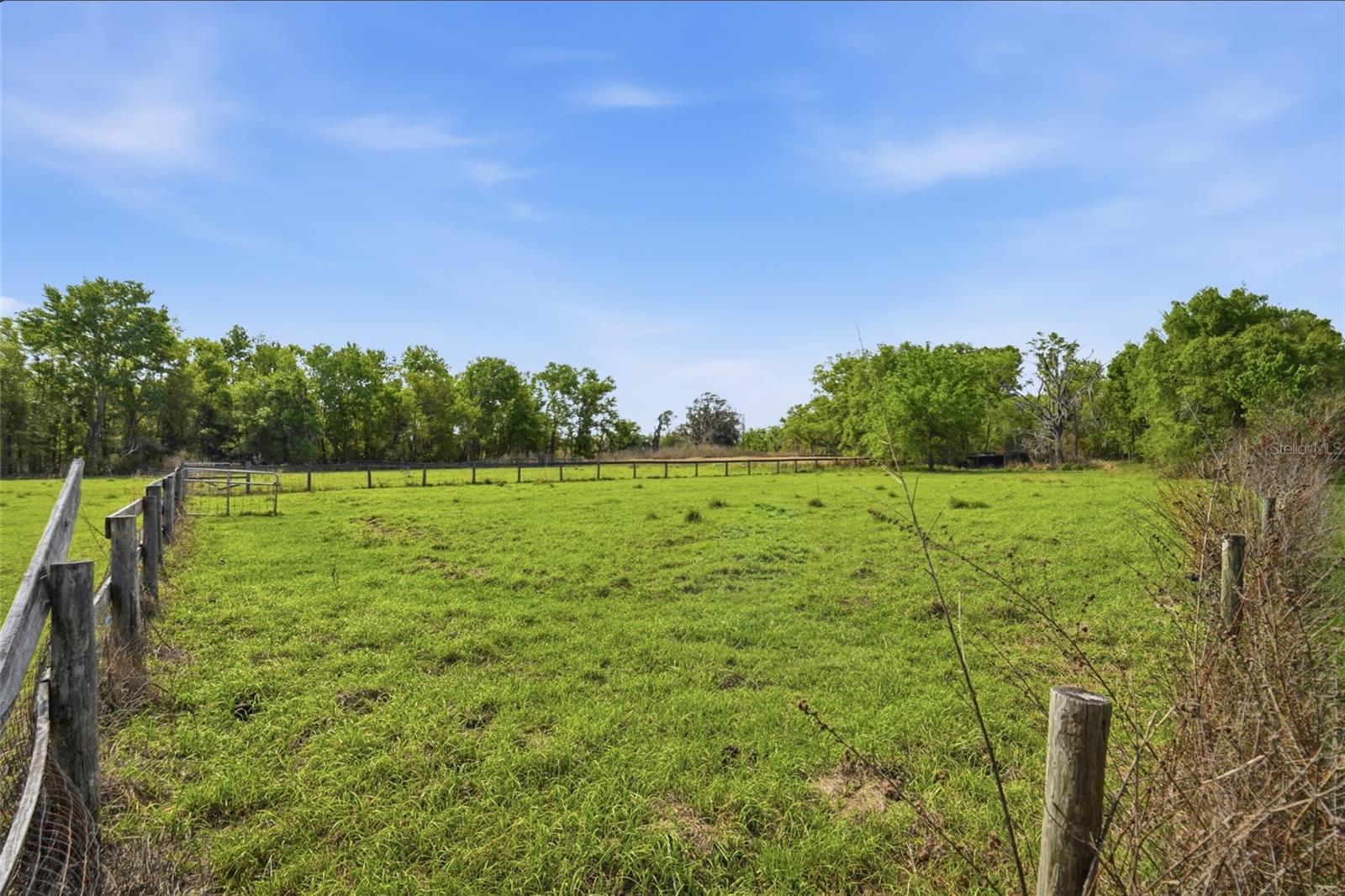 32400 Taylor Grade Rd Property Photo 7