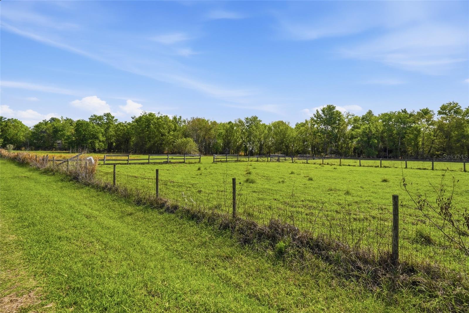 32400 Taylor Grade Rd Property Photo 10