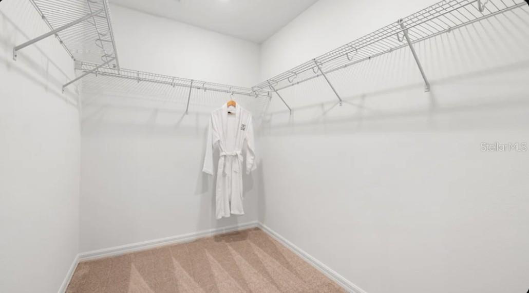 10789 Eclipse St Property Photo 12