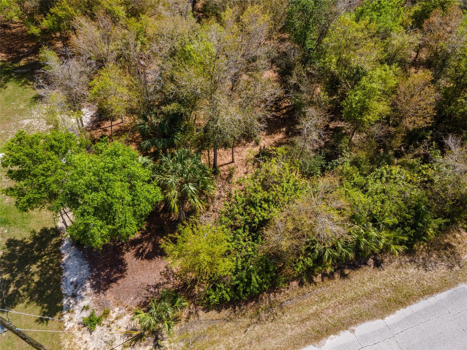 7084 Lippman Rd Property Photo 15