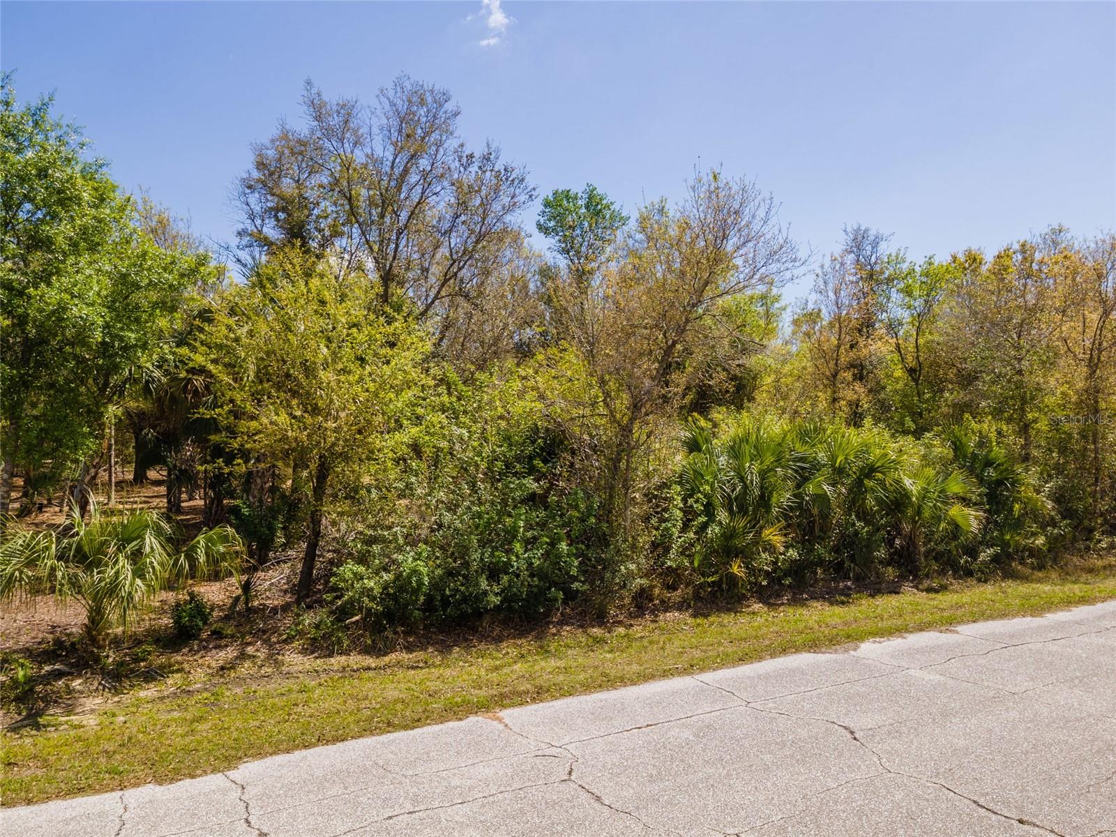 7084 Lippman Rd Property Photo 16