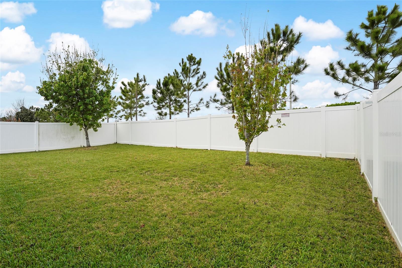 12824 Bent Twig Dr Property Photo 41