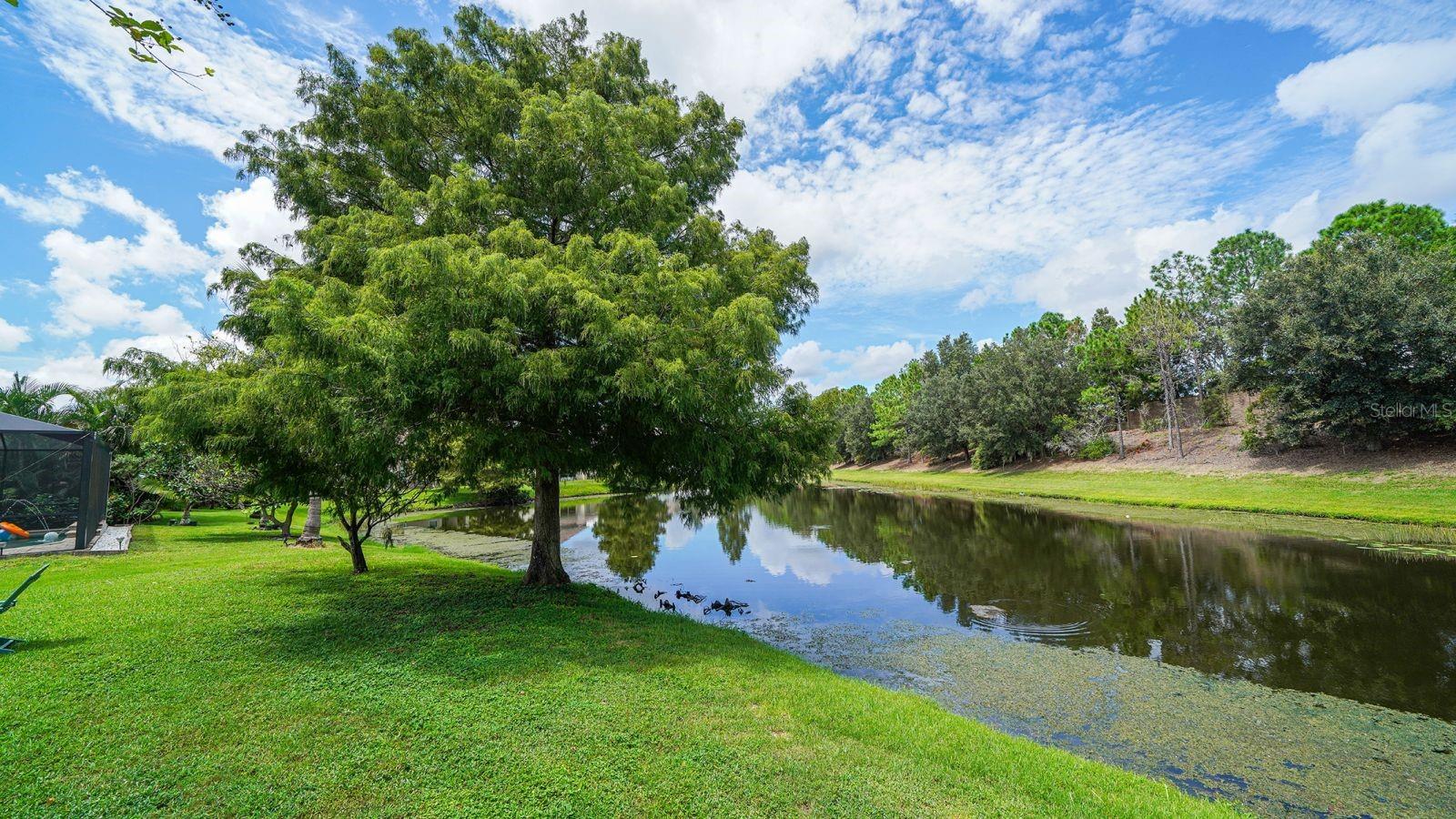 6122 Blue Runner Ct Property Photo 38