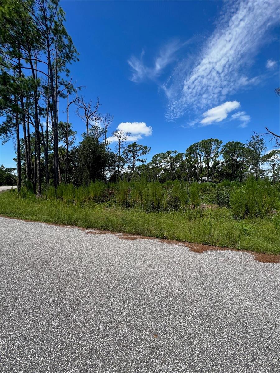 4841 O Shea St Property Photo 5