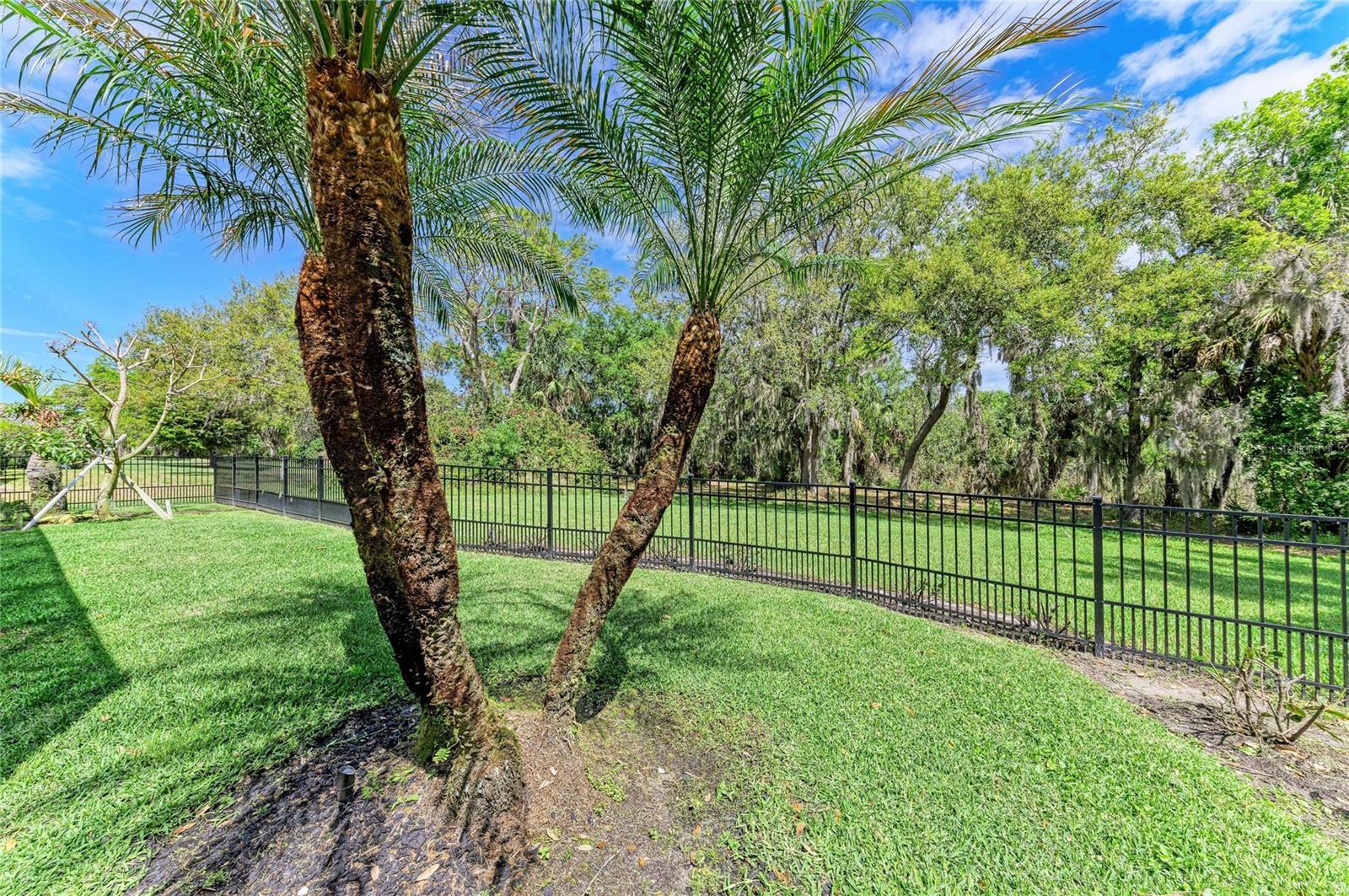 2337 Little Country Rd Property Photo 58