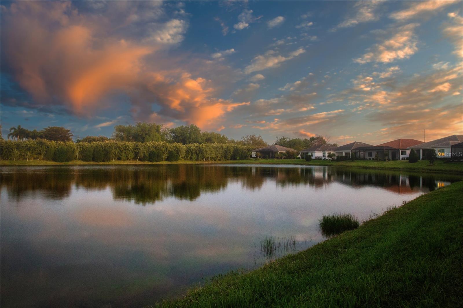 7732 Sandhill Lake Dr Property Photo 93