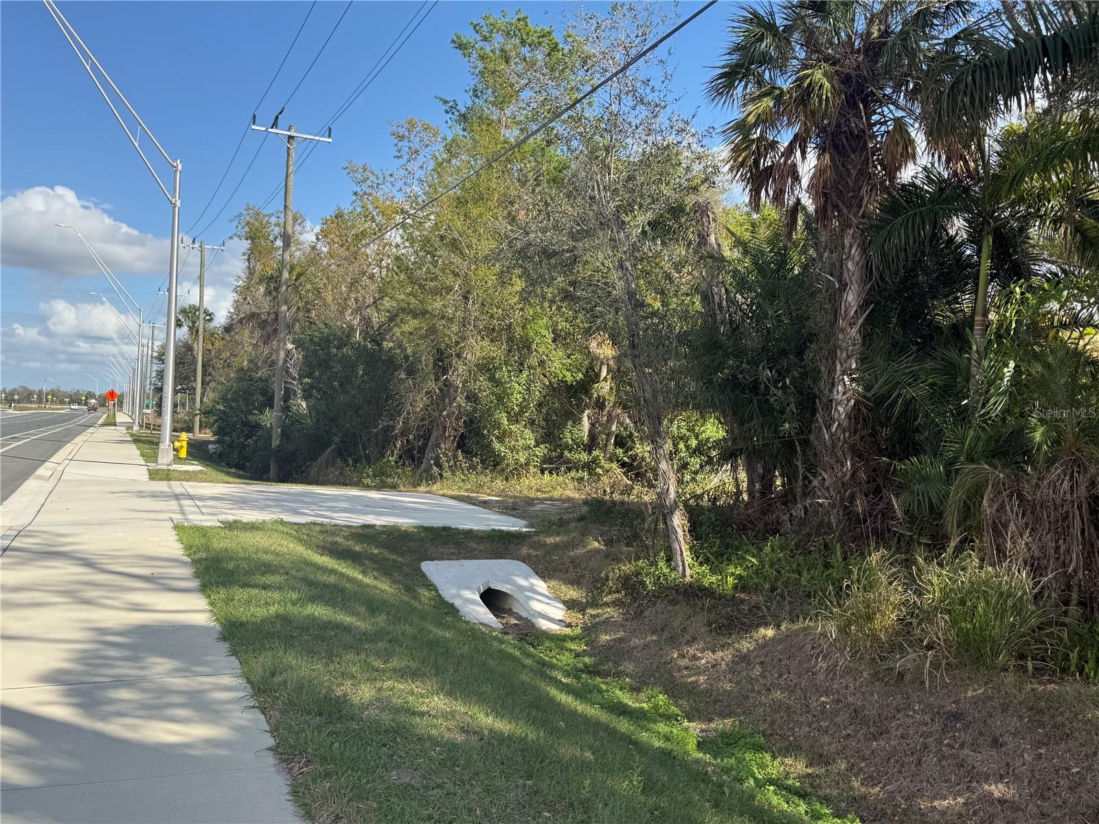 11959 Moccasin Wallow Rd Property Photo 3