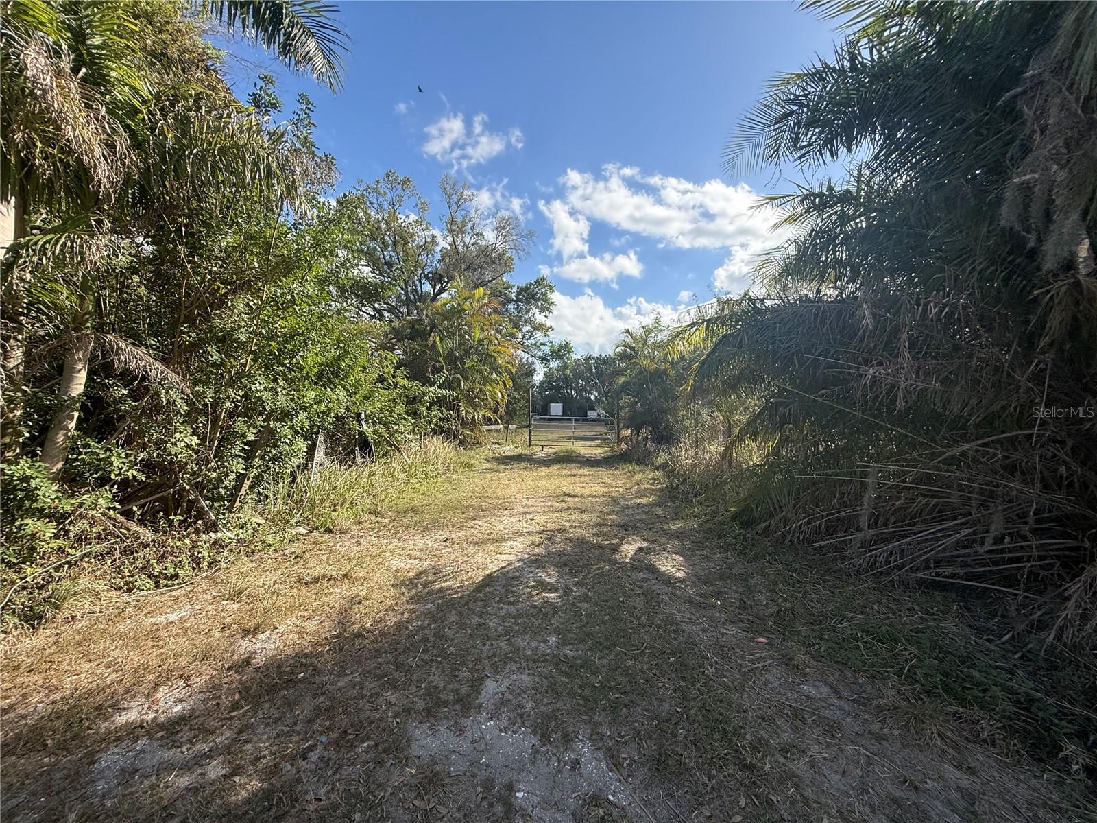 11959 Moccasin Wallow Rd Property Photo 4