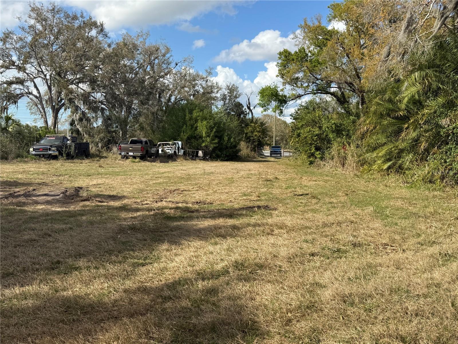 11959 Moccasin Wallow Rd Property Photo 8