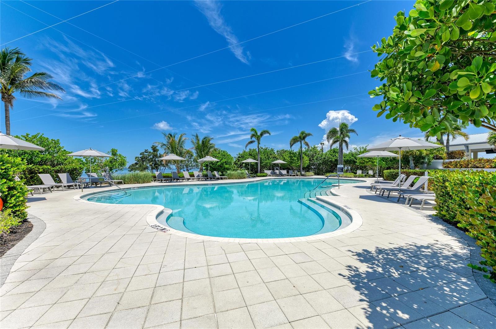 342 Castaway Cay Dr #201 Property Photo 78