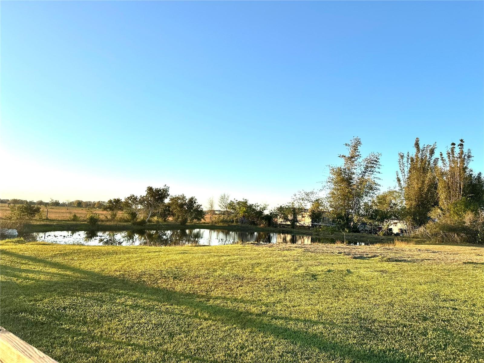 35495 Singletary Rd Property Photo 45