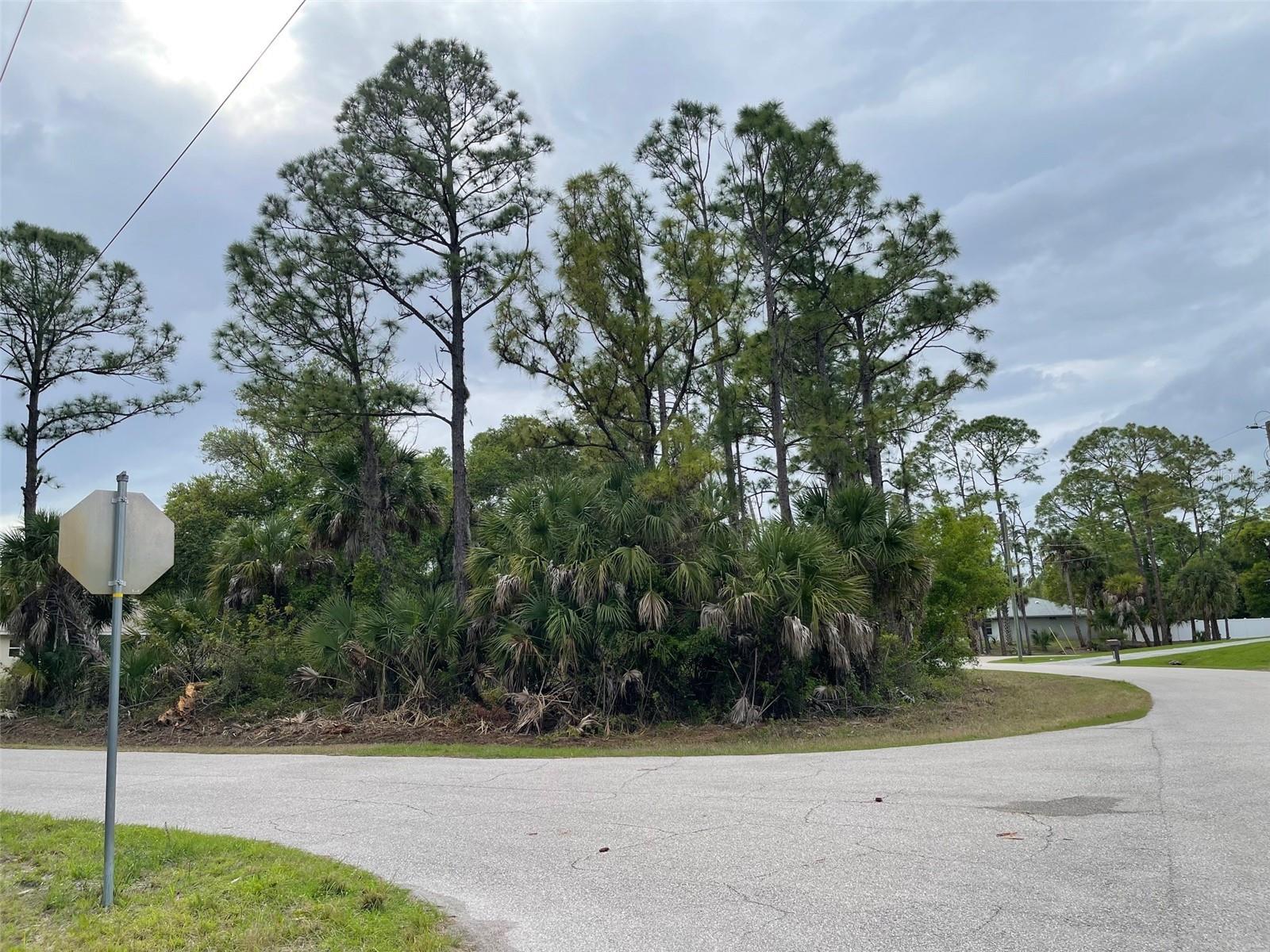 Lot 15 Ananas Rd Property Photo 1