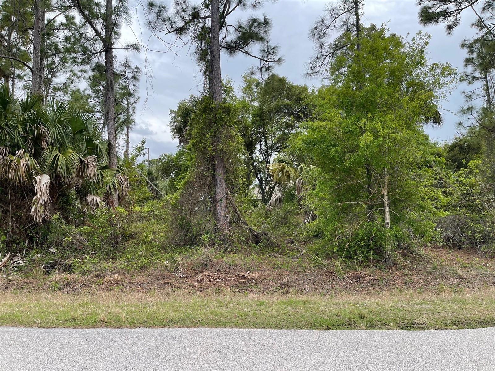 Lot 15 Ananas Rd Property Photo 6
