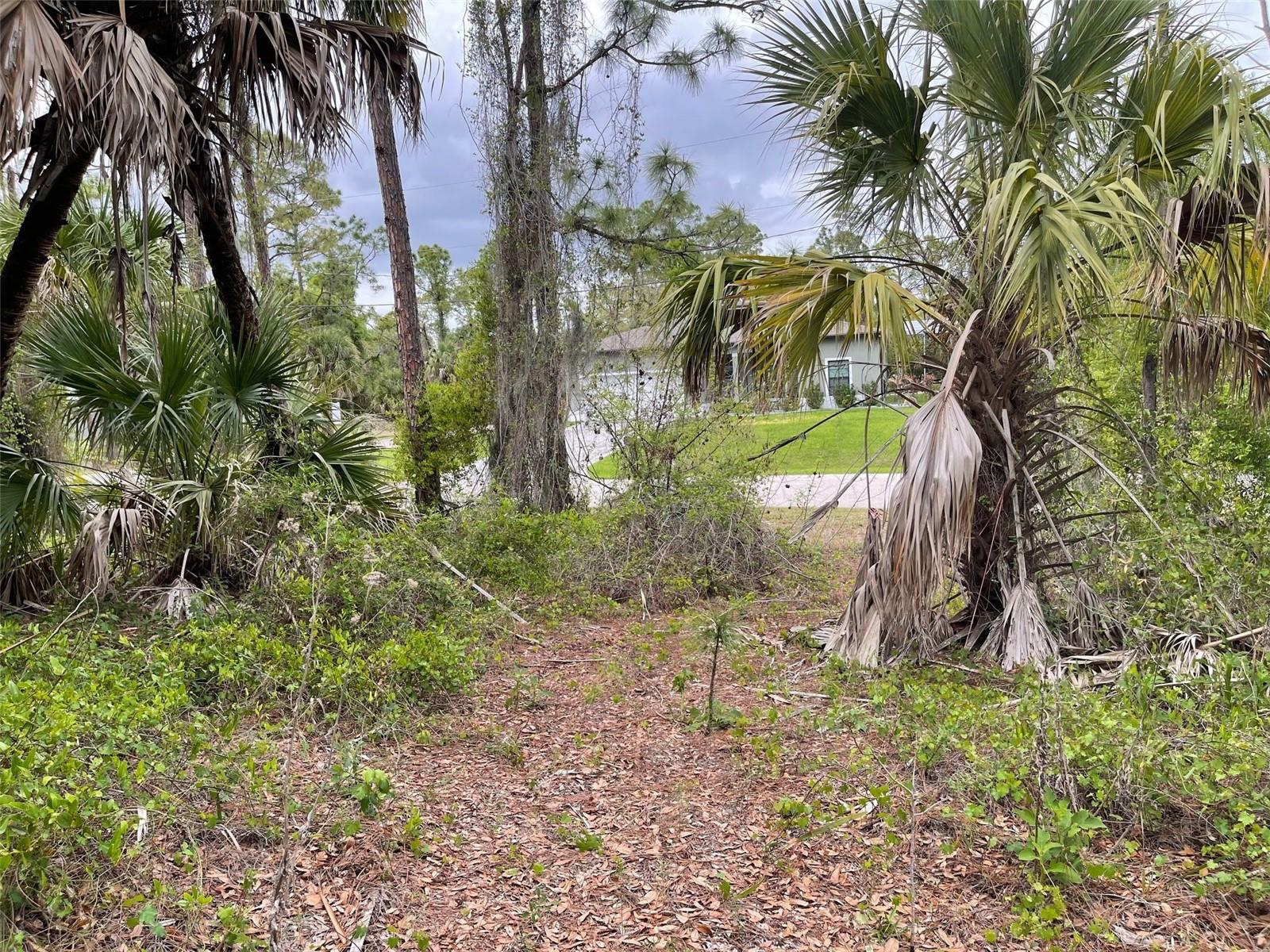 Lot 15 Ananas Rd Property Photo 7