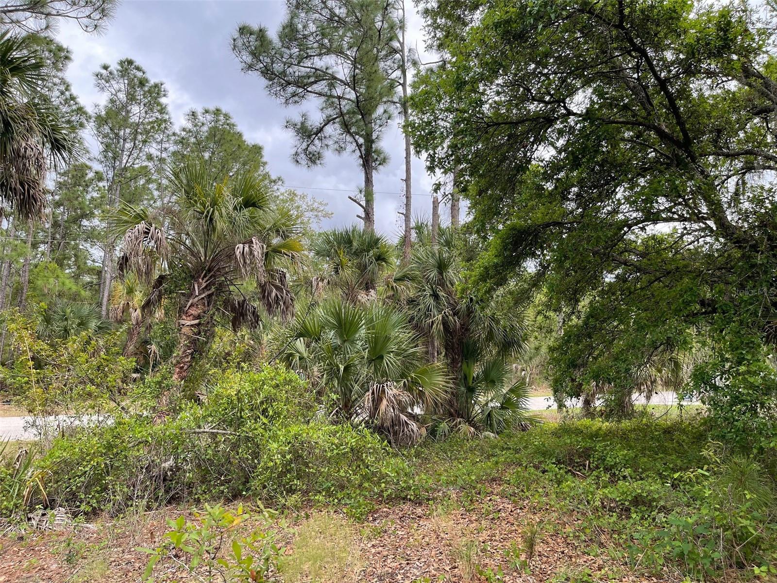 Lot 15 Ananas Rd Property Photo 8