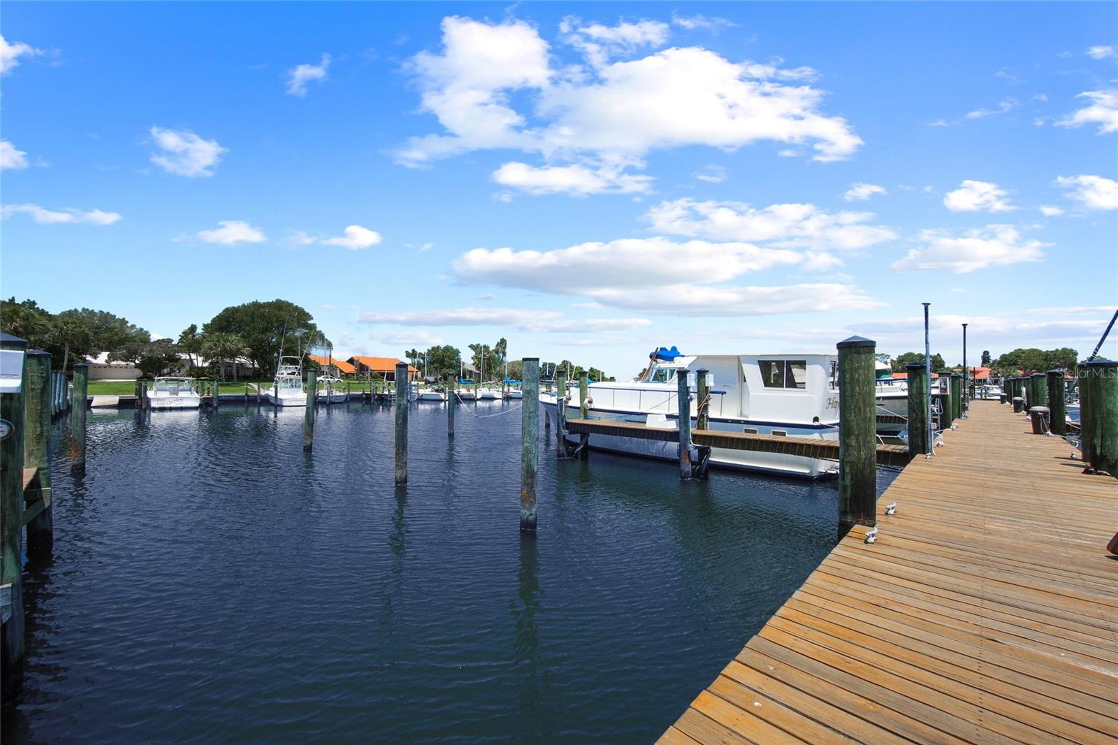 1527 Buoy Ln Property Photo 39