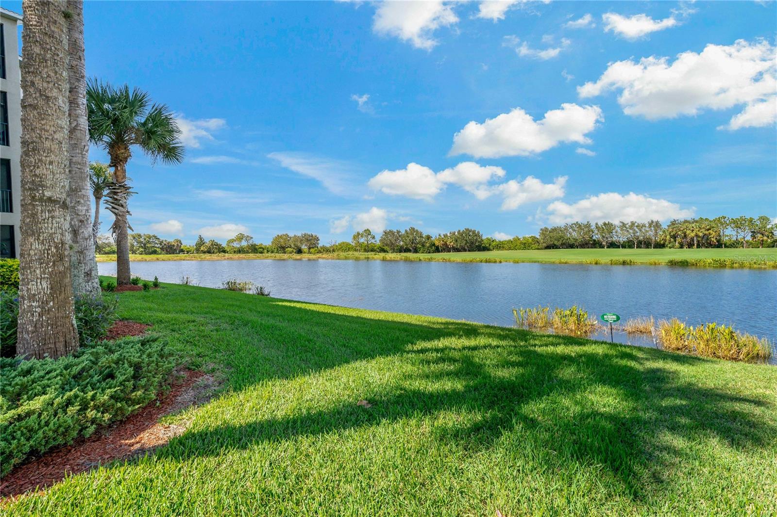 7015 River Hammock Dr #405 Property Photo 37
