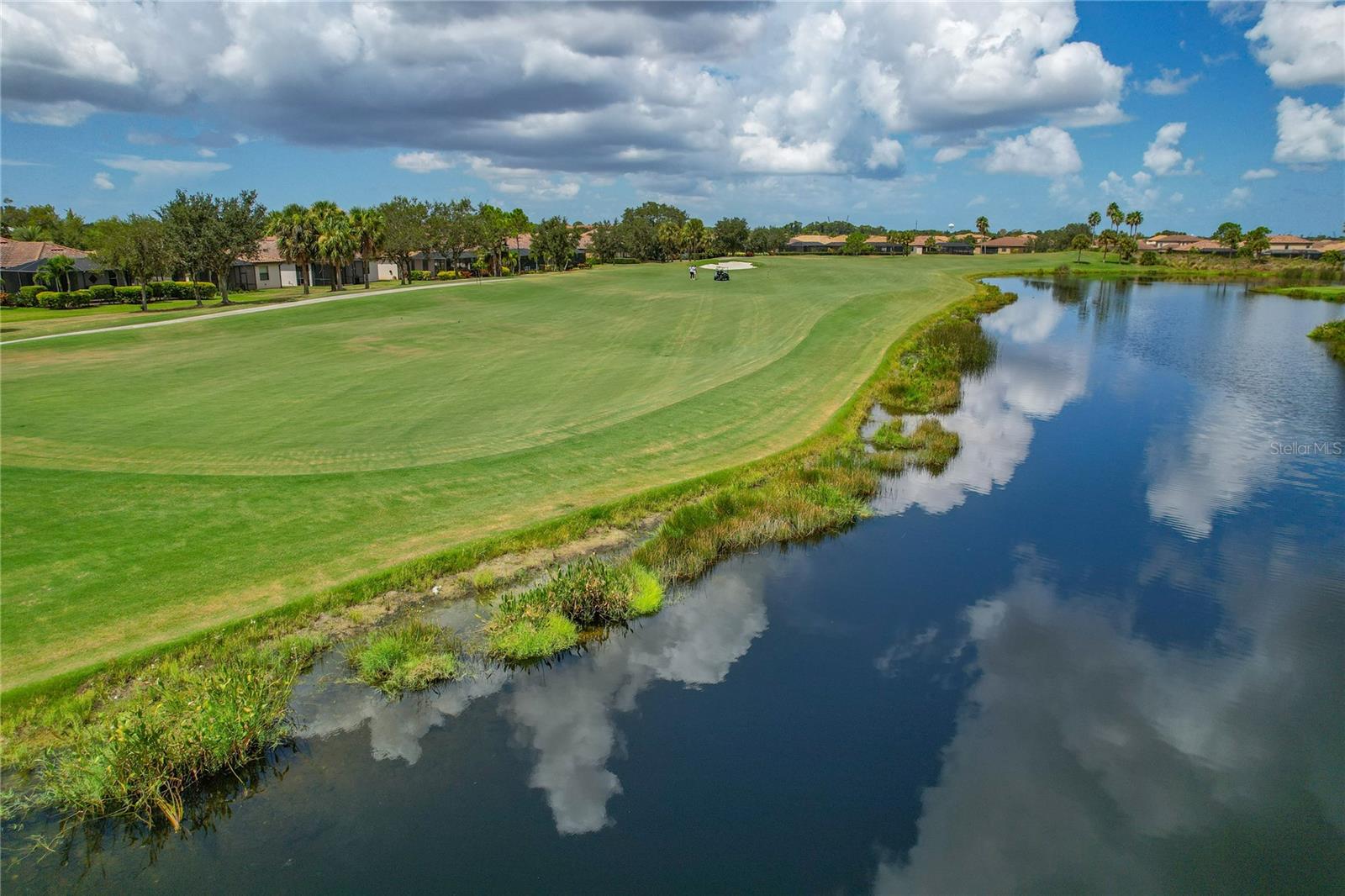 7015 River Hammock Dr #405 Property Photo 43