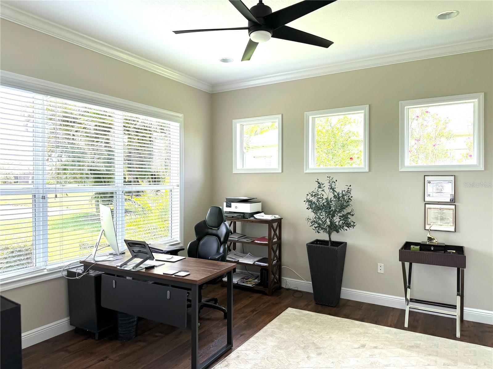 1539 Ormond Ter Property Photo 33